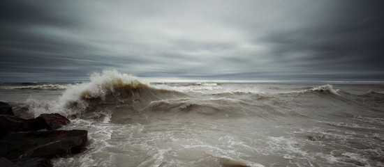 The Wave