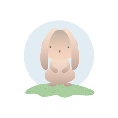 cute rabbit isolated icon