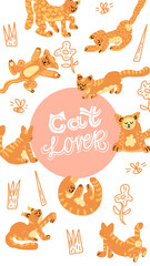 Set of Orange Cats. Vector.