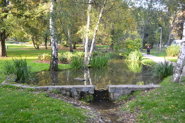 Fototapeta premium Pond in the park