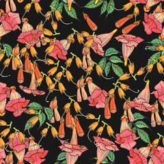 Tropical floral square seamless pattern with orange-pink hand drawn tubular flowers campsis, buds and leaves on black background. Botanical exotic design template.