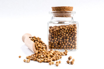 coriander seeds in wooden scoop and jar on isolated on white background. Closeup.