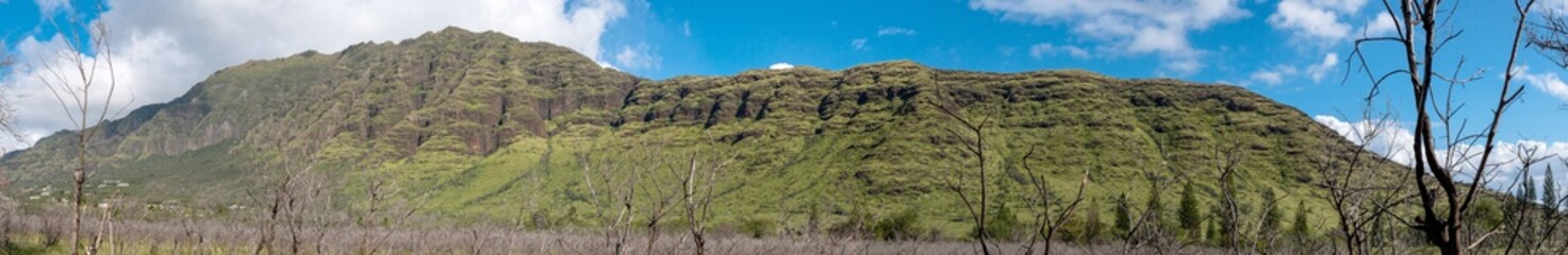 Fototapeta na wymiar Panoramic view of mountains in Oahu Waianae Kai Forest Reserve