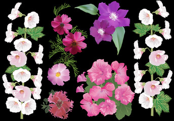 group of large garden flowers isolated on black
