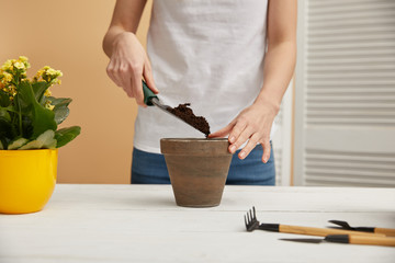 cropped view of gardener filling clay flowerpot with dirt