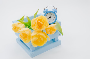 Womans holiday yellow Spring tulips with an alarm clock and blue wooden cart box isolated on white...