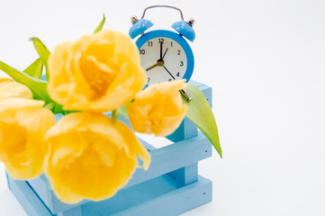 Womans holiday yellow Spring tulips with an alarm clock and blue wooden cart box isolated on white...