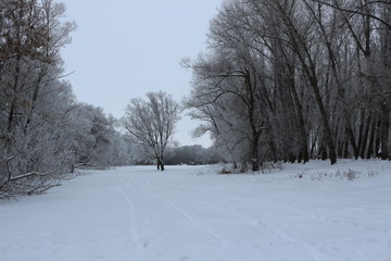 Fototapeta premium vinter