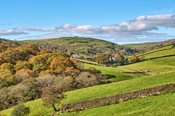 A rural English scene with Autumn trees.