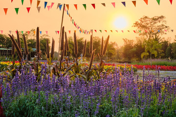 Beautiful flowers on a clear day, lovely and romantic, free space For writing in the heart.