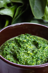 Healthy vegetarian or vegan food, cooked green spinach with cream, ingredient for many dishes like pasta, ravioli or soup