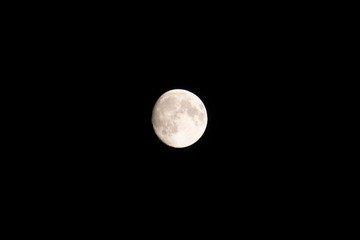 Obraz premium The full moon