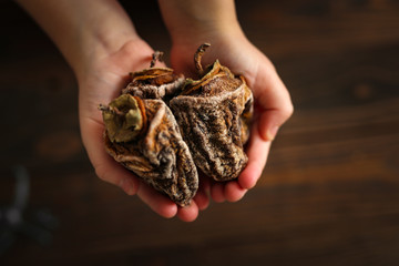 Hands holding handful Dried persimmon