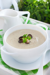Oyster mushroom mushroom soup in a white plate, selective focus