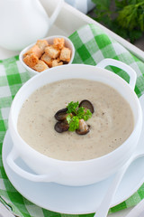 Oyster mushroom mushroom soup in a white plate, selective focus