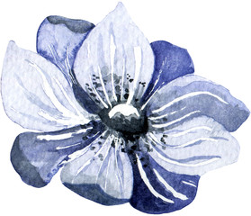 Beautiful ultramarine flower