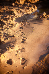 footprints in sand on beach at sunset