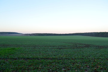 Fototapeta na wymiar Green field, hills, forrest and blue sky