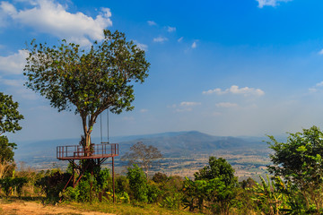 Tree of love in heart shaped with the green valley, blue sky and mountain range background. This public area is located at Ban Ruk Thai village, Noen Maprang district, Phitsanulok province, Thailand.