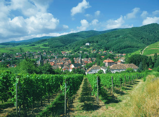 Fototapeta na wymiar der bekannte Weinort Ribeauville in der Grand Est Region (früher Elsass),Frankreich