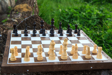 Chess board with chess pieces on tree trunk and green grass.