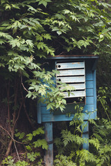Vintage post box with tree