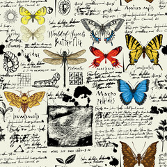 Vector seamless abstract background with butterflies. Colorful butterflies, ink spots, sketches and handwritten inscriptions on the old manuscript. Can be used as retro wallpaper, wrapping paper