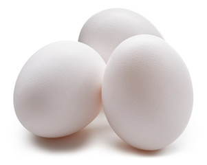 With egg isolated on white
