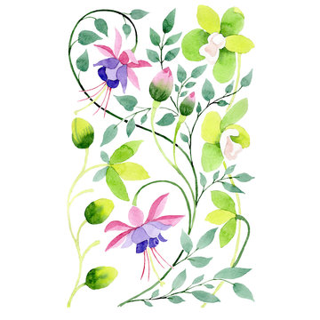 Violet fuchsia and green orchid flowers ornament. Watercolor background set. Isolated ornament illustration element.
