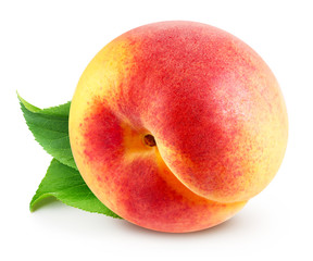Apricot isolated Clipping Path
