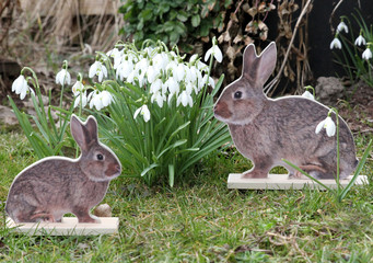 Man muss den Frühling einfach zwingen