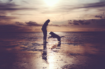 Mit dem Hund im Wattenmeer