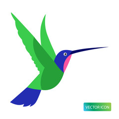 Hummingbird Icon Or Logo Design Vector Image On White Background. Hummingbird Logo Icon. Isolated Colibri Symbol Vector Illustration. Hummingbird Vector Image.