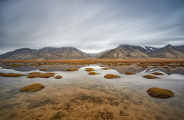 Arctic landscape in Svalbard during autumn. Norway