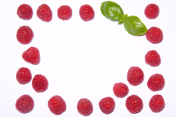 Himbeeren, Kranz, Umrandung, rot, grün, weiß, Basilikum, Frucht, Gewürz