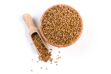 coriander seeds  in wooden bowl and scoop isolated on white background.