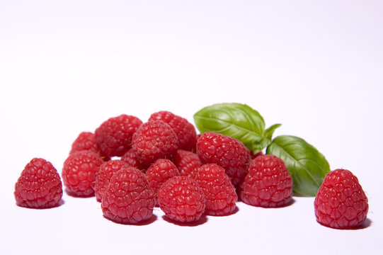 Sommerfrucht 이미지 – 찾아보기 1,280 스톡 사진, 벡터 및 비디오 | Adobe Stock