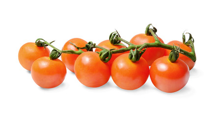 A bunch of fresh cherry tomatoes on a branch. White isolated background. Side view. Shadow.