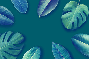 Tropical leaves isolated on a green background. Creative concept. Frame for the presentation of works. Top view. Copy space.  Flat lay. Top view. Copy space.  Flat lay.