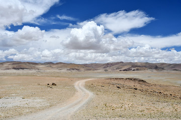 China, Tibet. Road in  TRANS-Himalayas in the area of lake Teri Tashi Nam Co in June