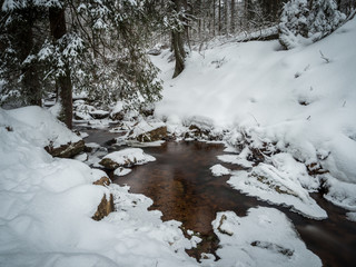 Winter in the Harz Mountains