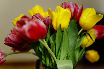 Obraz premium Pink and yellow tulips bouquet