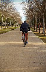 Person on bike in the park