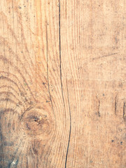 surface of wood background with natural pattern