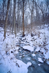Snowy Winter Scene with Frozen Stream