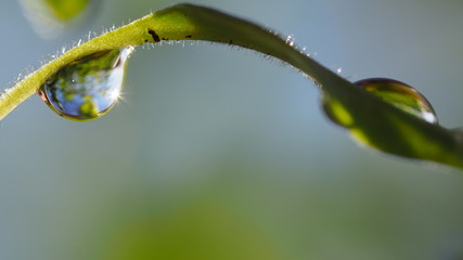 OLYMPUS DIGITAL CAMERA © Magorzata