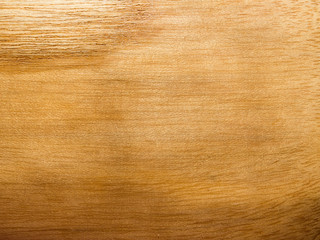Wood wall background or texture. Natural pattern wood background
