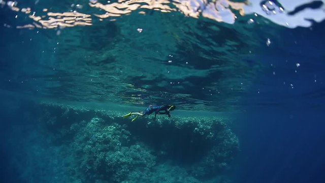 Young woman freediver dives into the depth, disappears and then returns in the crystal clear water of the Red Sea in Egypt, Ras Mohhamad dive site.