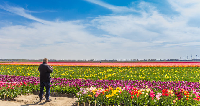 Photographer taking pictures of a tulips field in The Netherlands