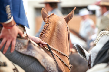Horseman wearing festival costume sitting on the horse in Cordoba, Spain